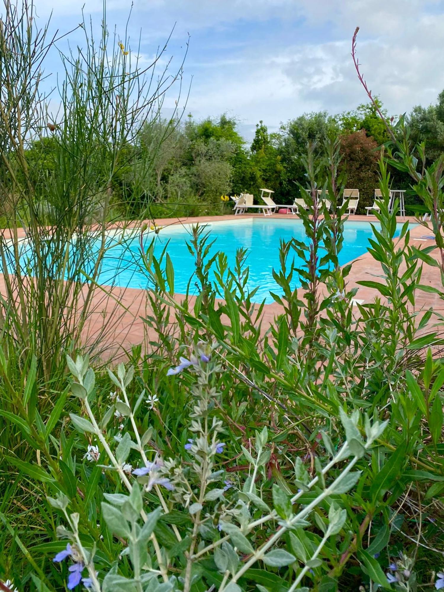 Nonna Nara Bed & Breakfast Grosseto Esterno foto