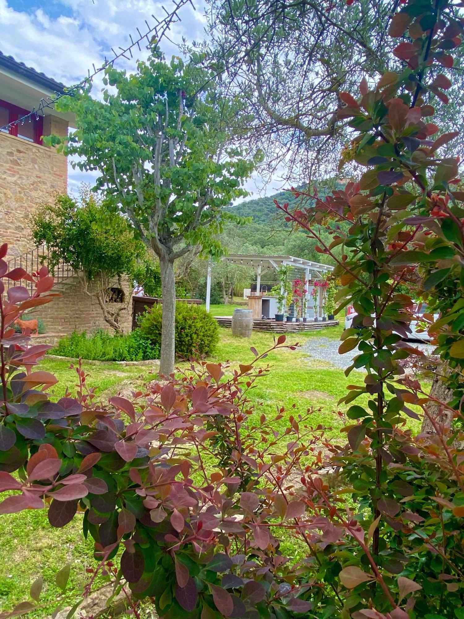 Nonna Nara Bed & Breakfast Grosseto Esterno foto